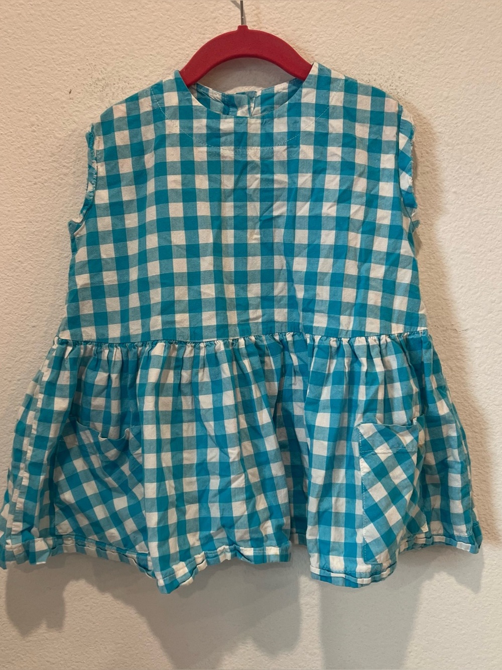 Hey Gang girls blue gingham dress pleated pockets rodeo festival pics preppy